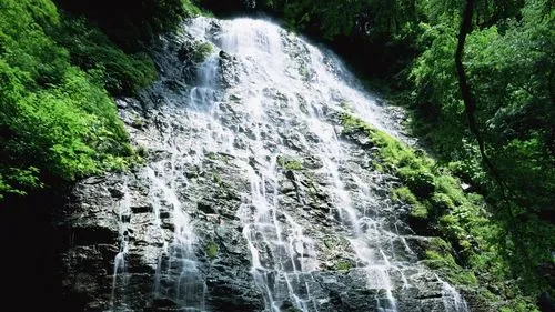 独特高性能